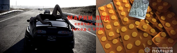 PSILOCYBIN Вяземский