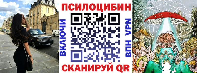 где найти   Тамбов  Галлюциногенные грибы Cubensis 